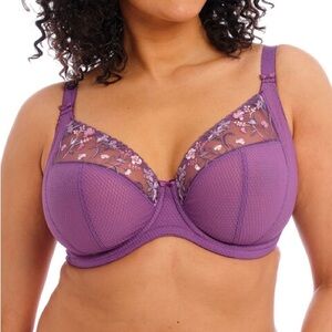 Elomi Charley Underwire Plunge Bra EL4380PAY Pansy Size 42J